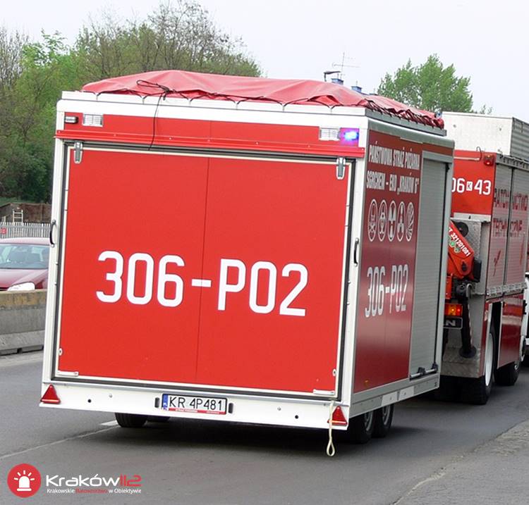 306 p02